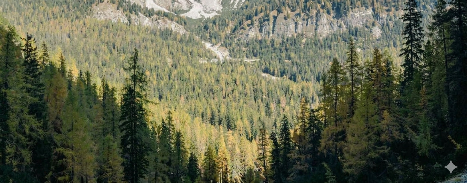 Vista - June 2026