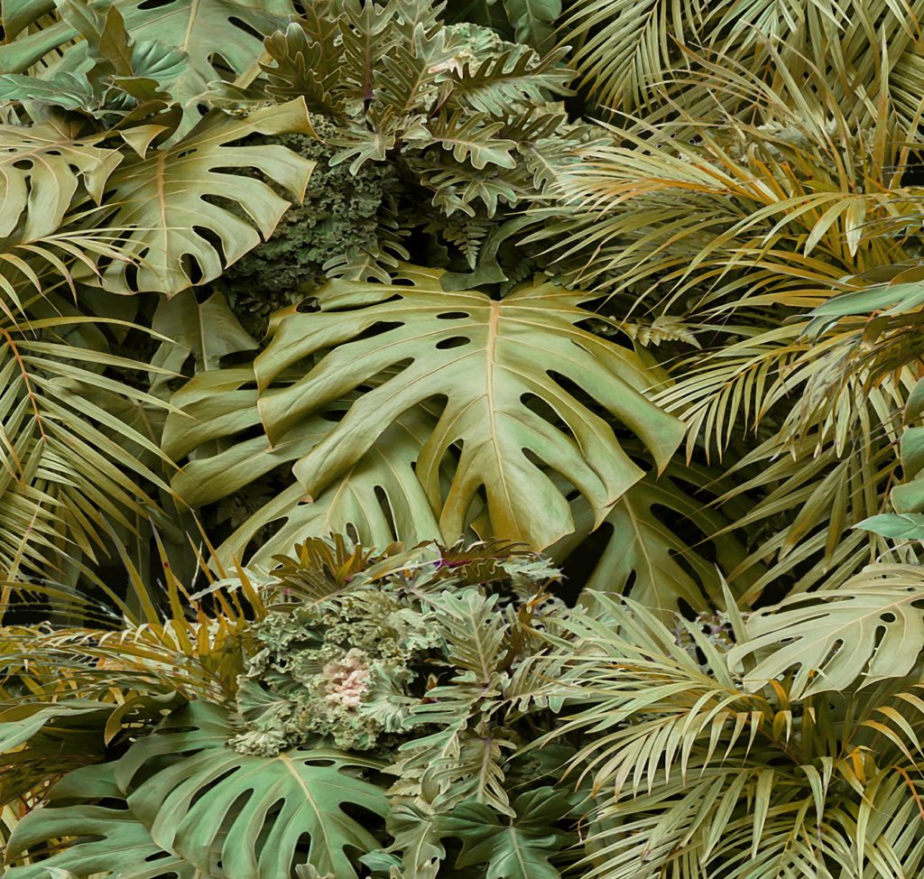 Biophilic – Vertical Garden Afternoon