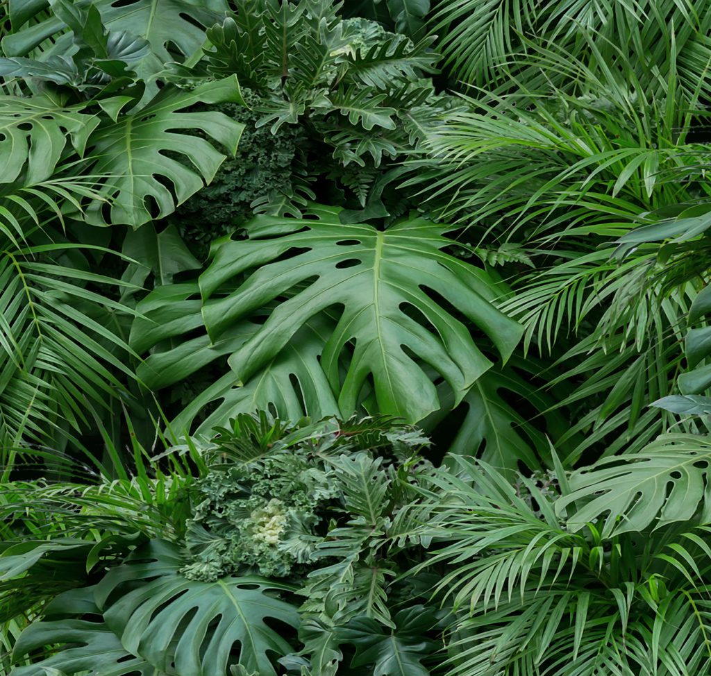 Biophilic – Vertical Garden Greenery