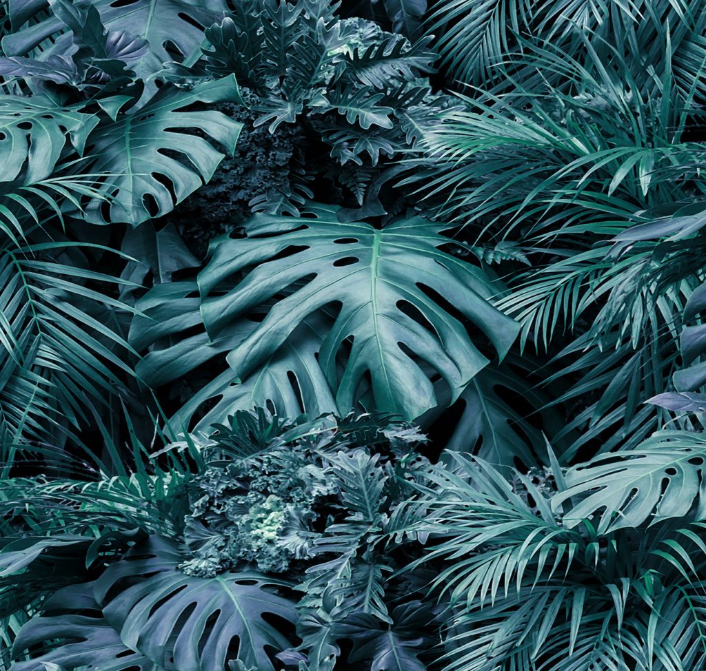 Biophilic – Vertical Garden Night