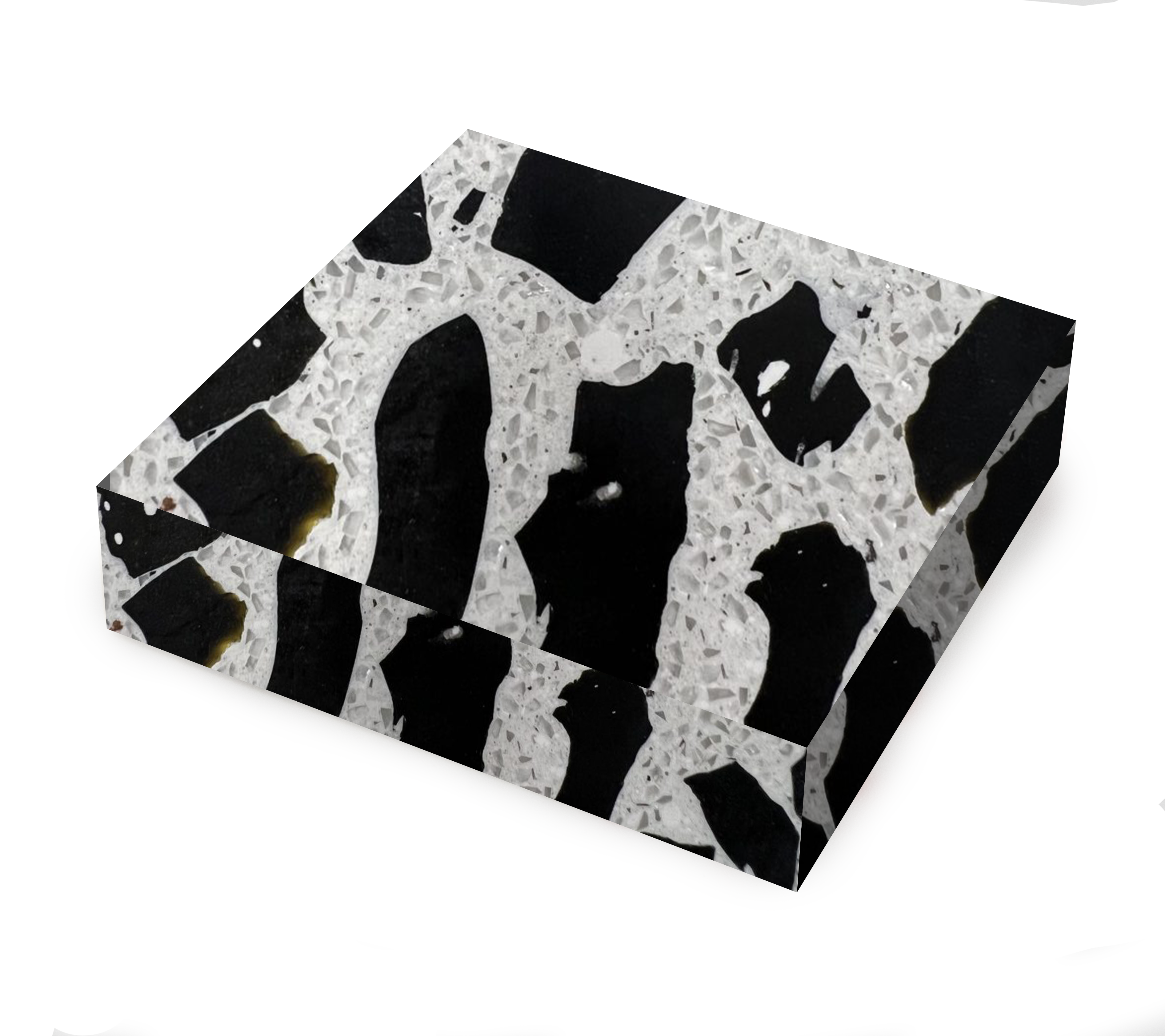 Dalmatian