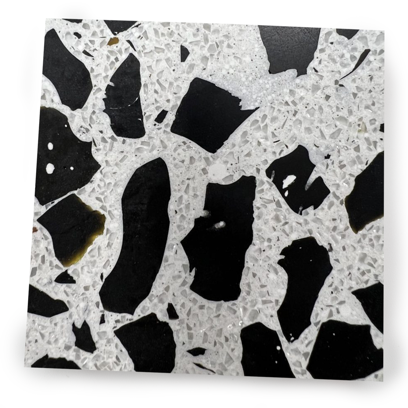 Dalmatian
