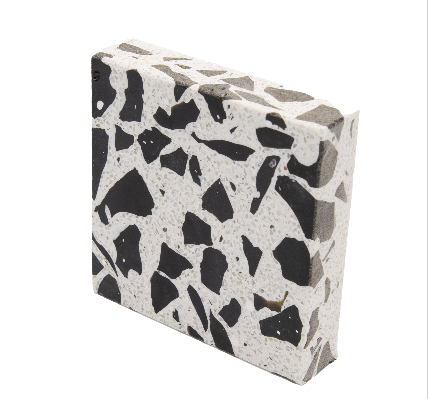 Dalmatian