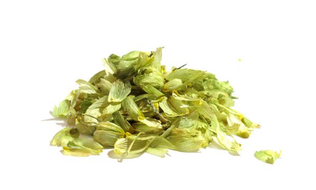 Hopfen Gold