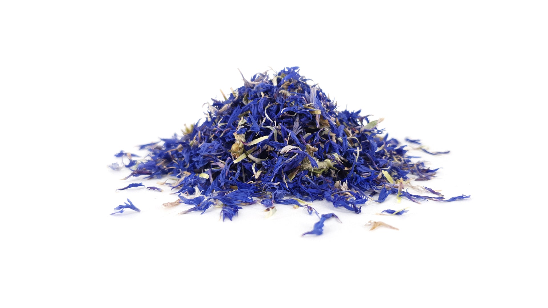 Kornblume Blau