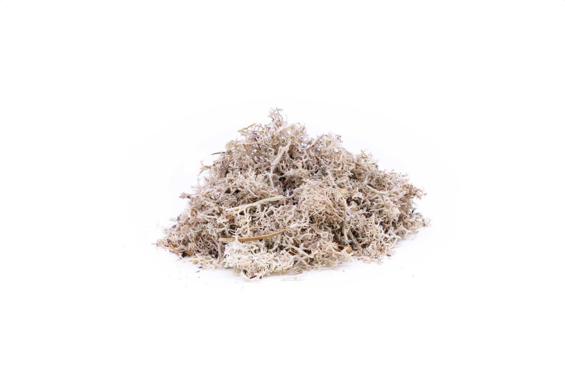 Moss Grau