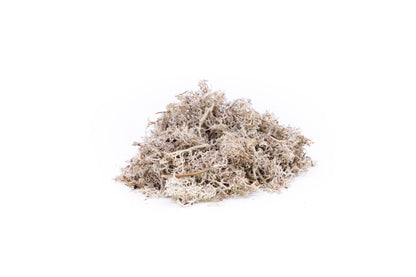 Moss Grau