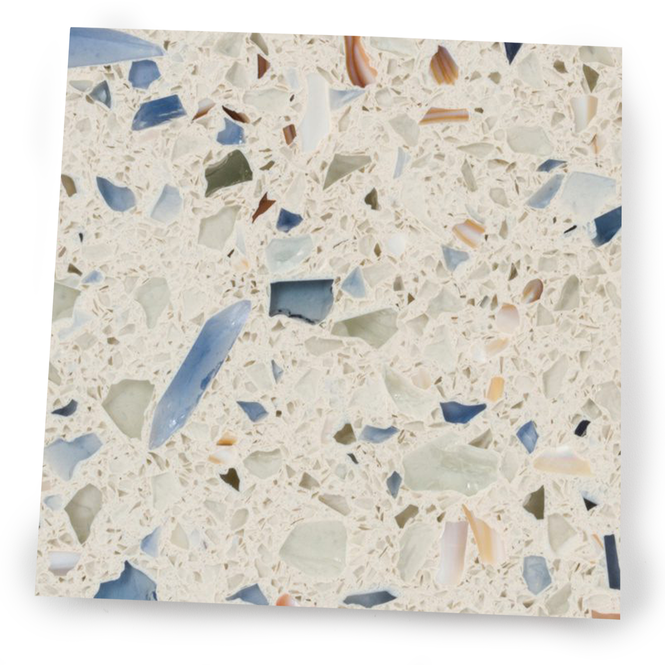 Ocean Shell
