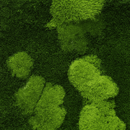 Preserved Mixed Moss