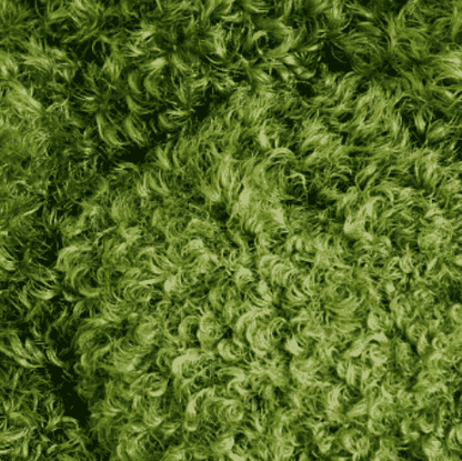 Preserved Mood Moss