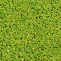 Grass Green