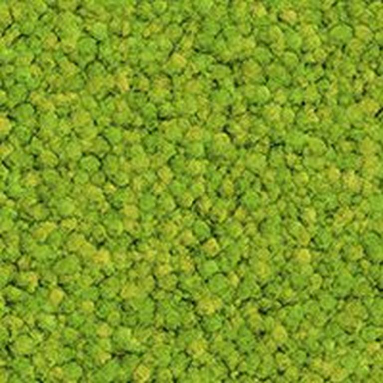 Grass Green