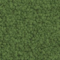Medium Green
