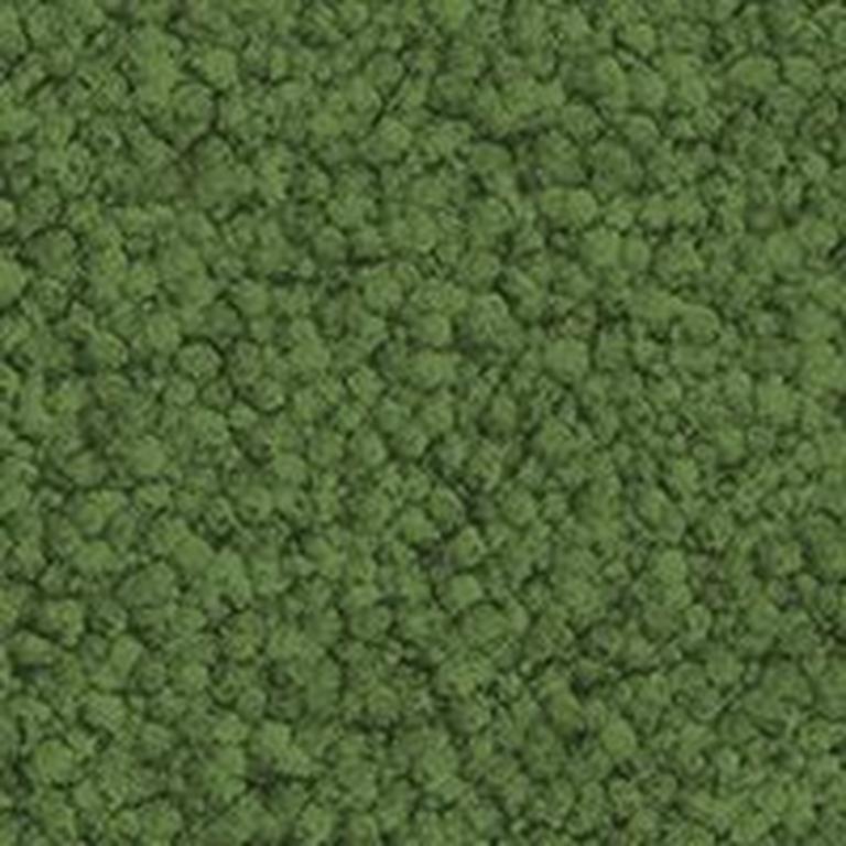 Medium Green