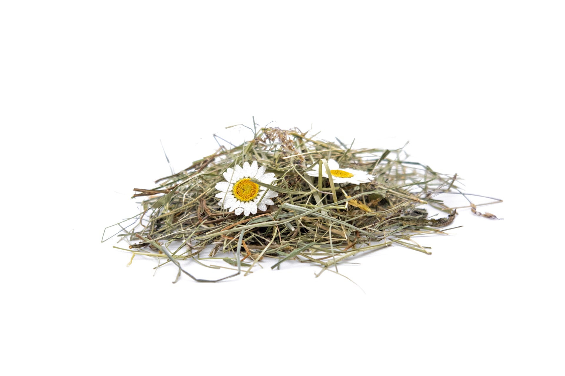 Wildspitze Margeriten