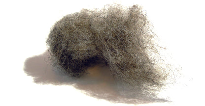 Wolle