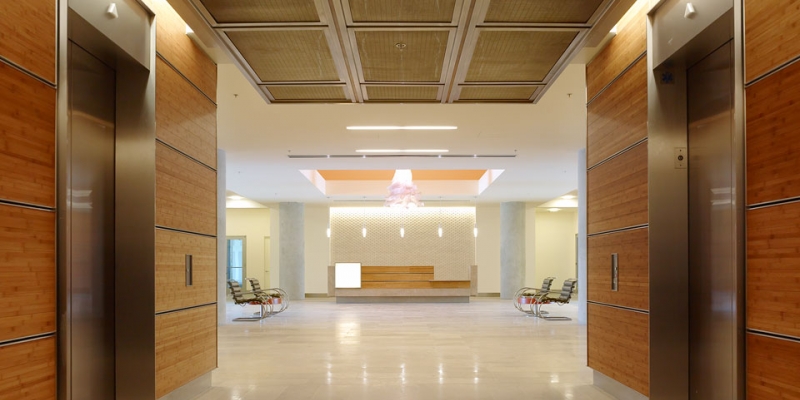 Plyboo Wall Panels in Amber Flat Grain Plywood