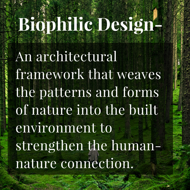 biophilic-design-definition