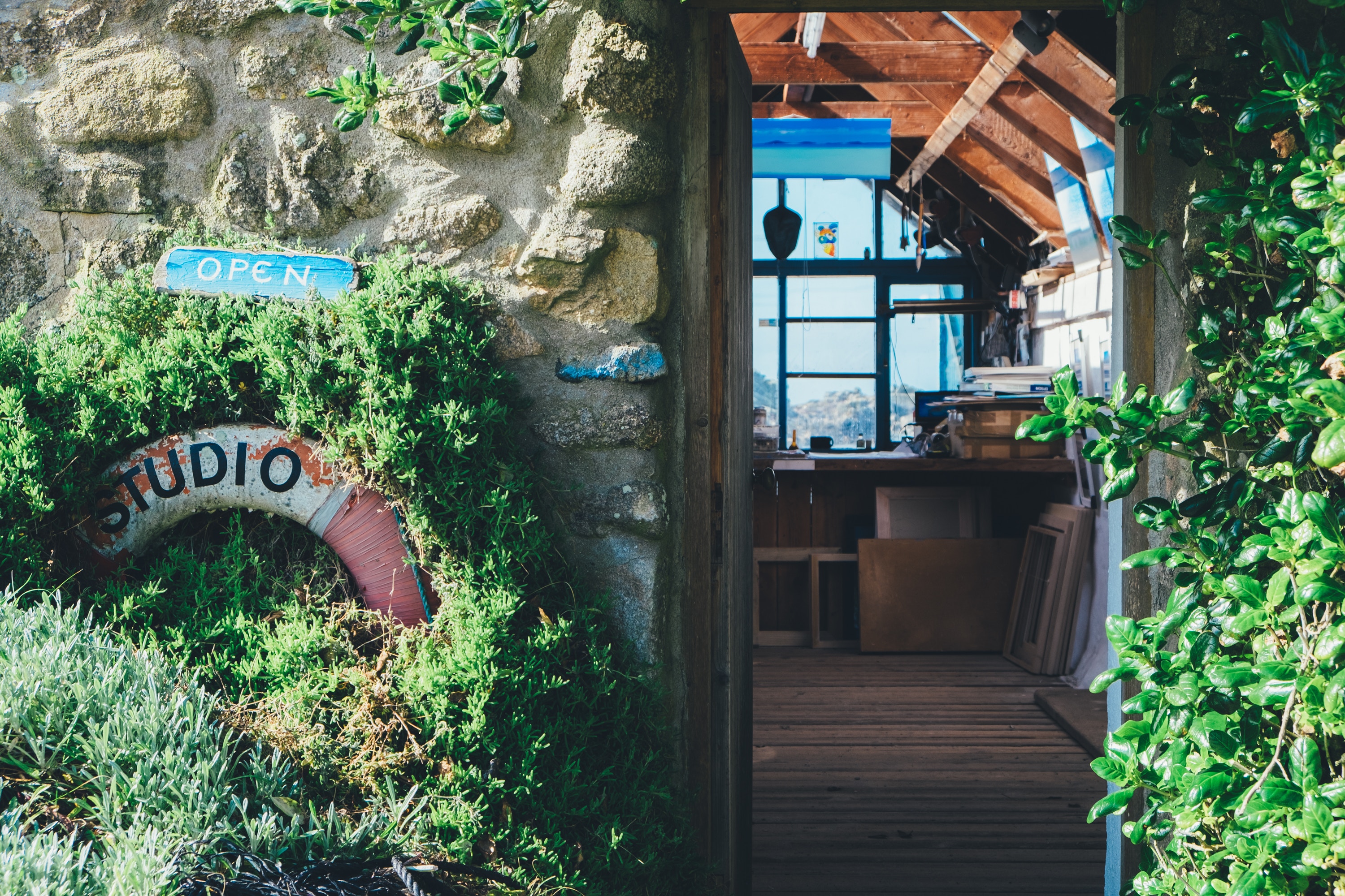 CaraGreen Open Office Biophilic