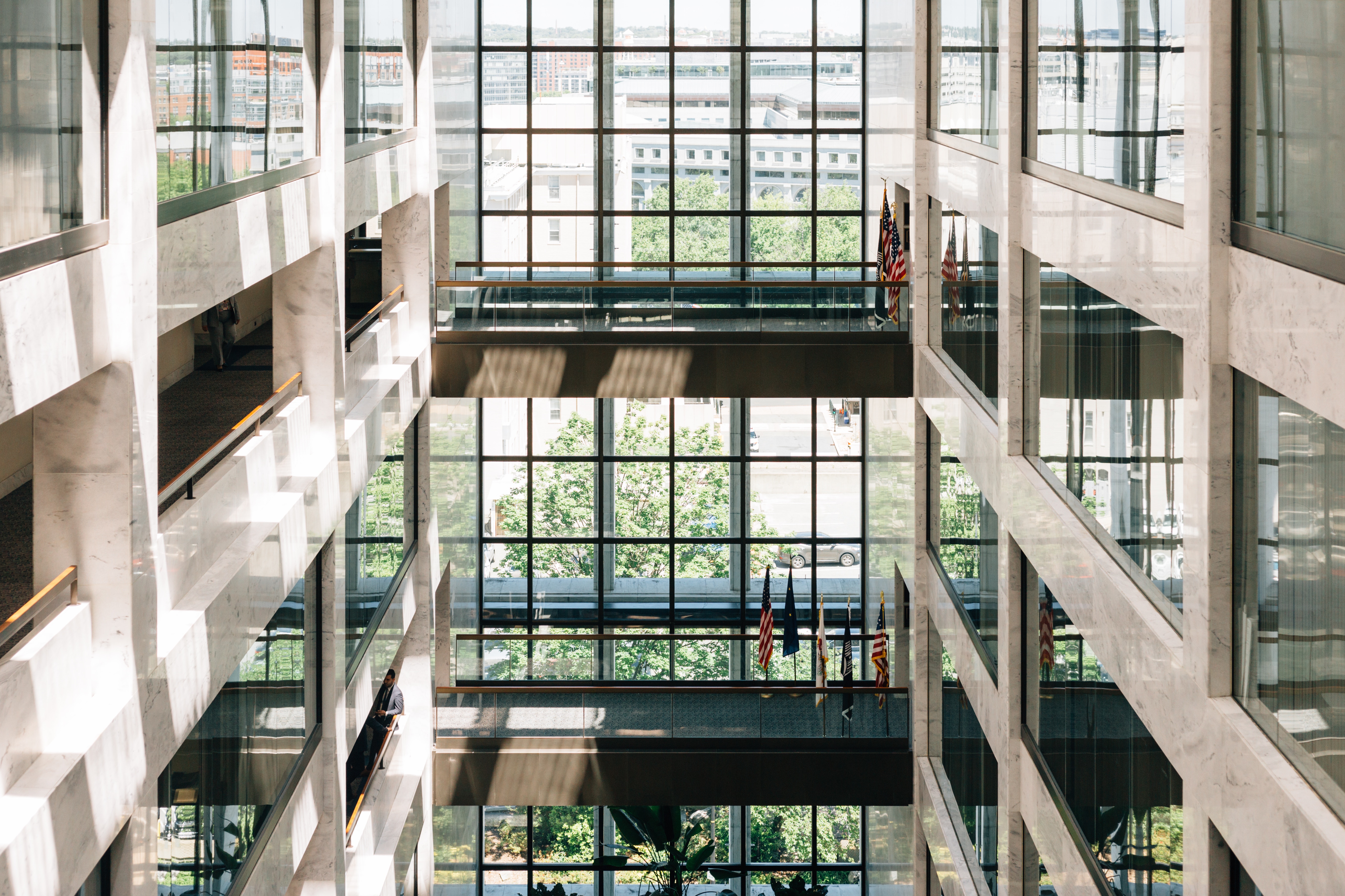 CaraGreen Open Office Biophilic