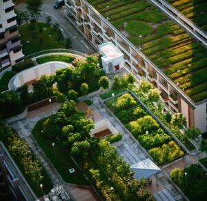 Aerial view of green roof system