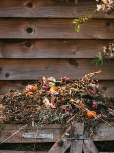 backyard compost pile