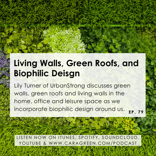 Living walls, biophilic design, green roof, green wall